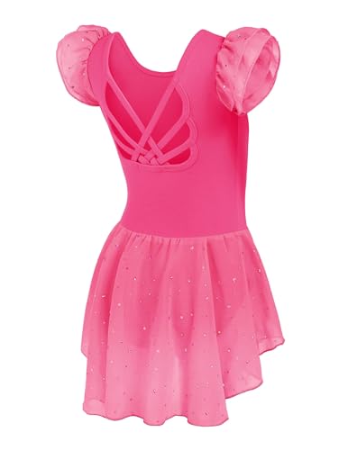 Image of Arshiner Girls Shiny Ruffle Sleeve Ballet Leotard with Skirt Criss-Cross Back Dance Dresses
