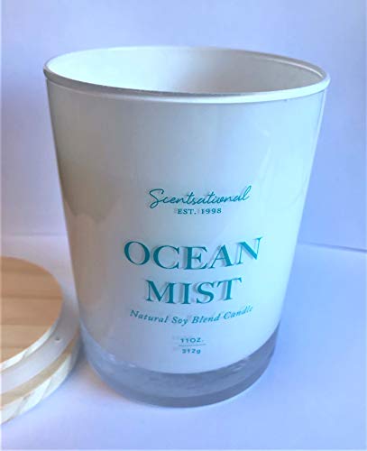 Natural Coconut + Beeswax Scented Candle Ocean Mist In Glossy White Jar With Wooden Lid, 11 Oz. #TOP1