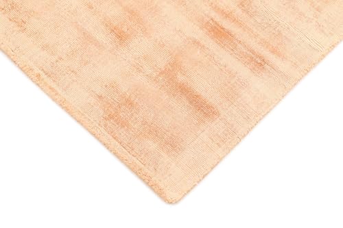 Tapis de course d'Orient 60x110 cm Radiant Dust moderne