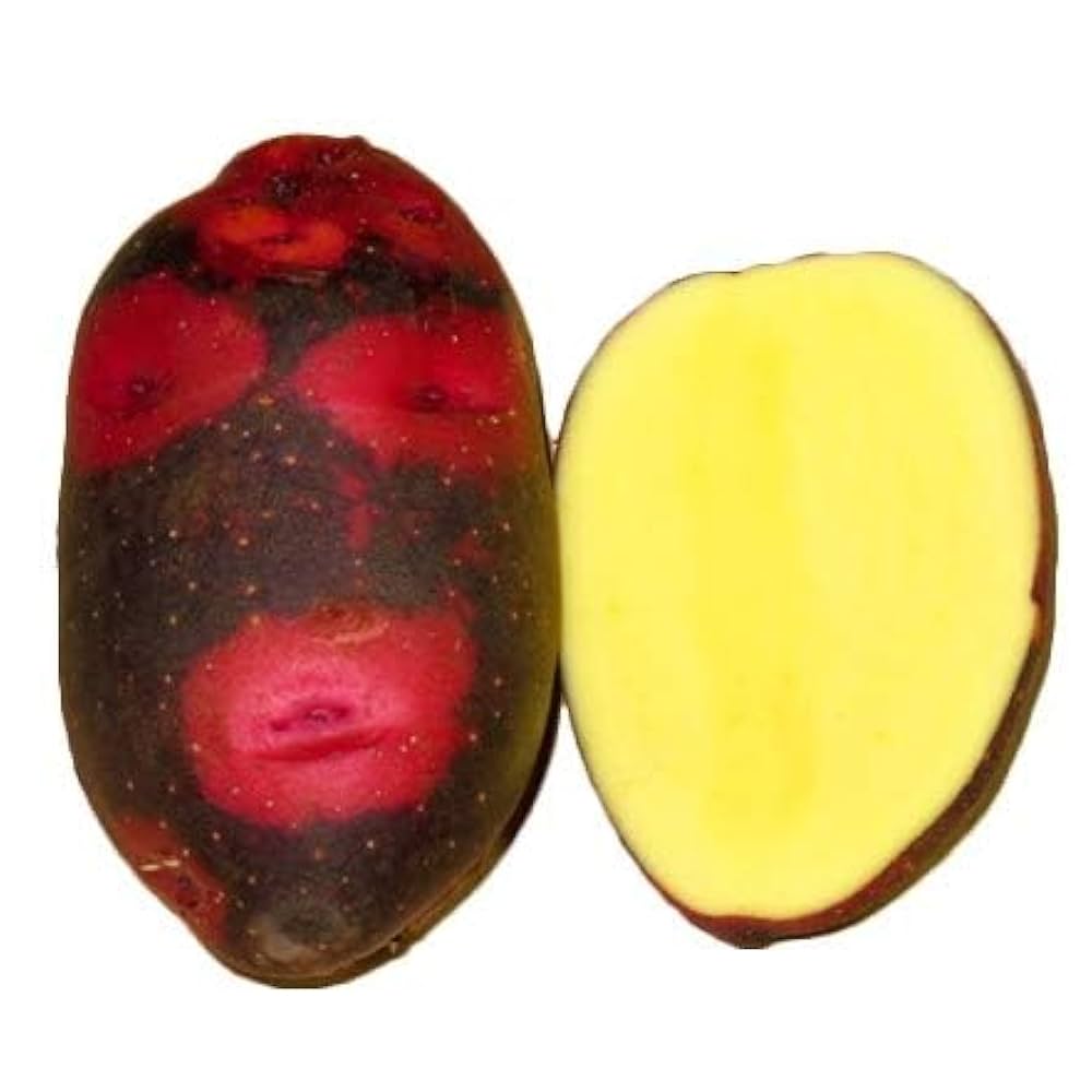 グラウンドペチカ デストロイヤー 種芋 種イモ じゃがいも Sサイズ 150個 じゃがいも グランドペチカ デストロイヤー 種芋 500g