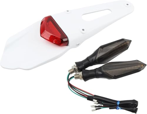 Luz trasera para motocicleta y guardabarros trasero con intermitentes