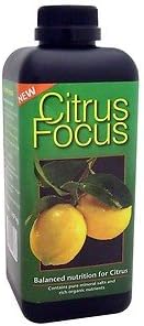 Citrus Focus - Growth Technology - 1L - Quick -