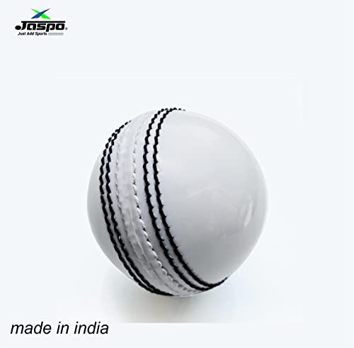 jaspo IncrediBall Soft T20 Cricket Training Balls - Set of 6 Indoor/Outdoor Play and Cricket Practice (229 cm Circumference), PVC Material, Colour-White