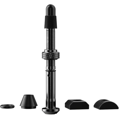 Capteur SRAM Quarq Tyrewiz 2.0 valve de pneu de vélo de route et gravel