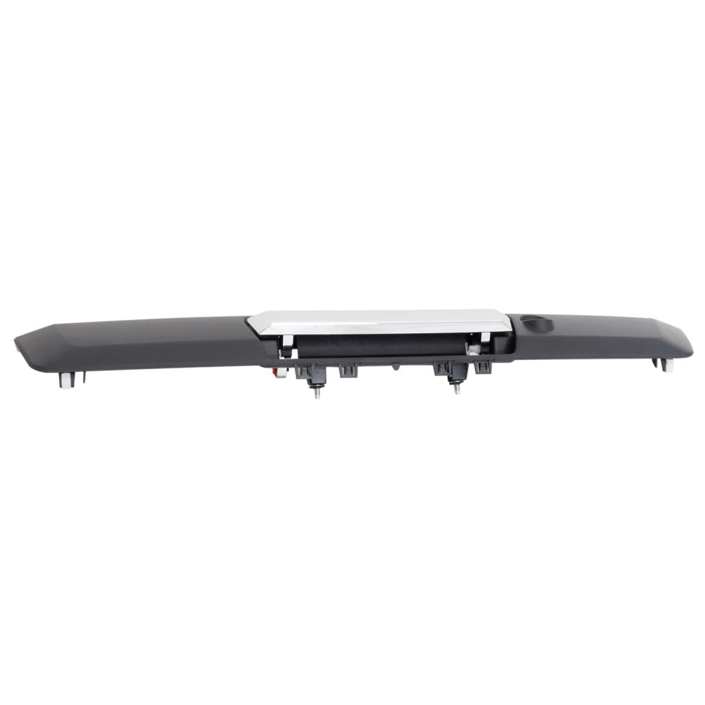 Amazon.com: For Ford F-250/F-350 Super Duty 2017-2024 Tailgate