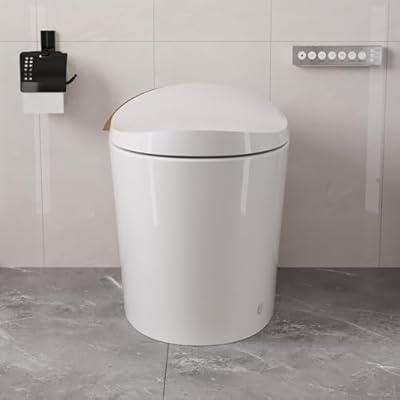 DeerValley Smart Toilet with Integrated Bidet, Heated Seat, Auto Flush, Warm Air Dryer, Foot Sensor, and Remote Control, White, Elongated, 12-inch Rough-In