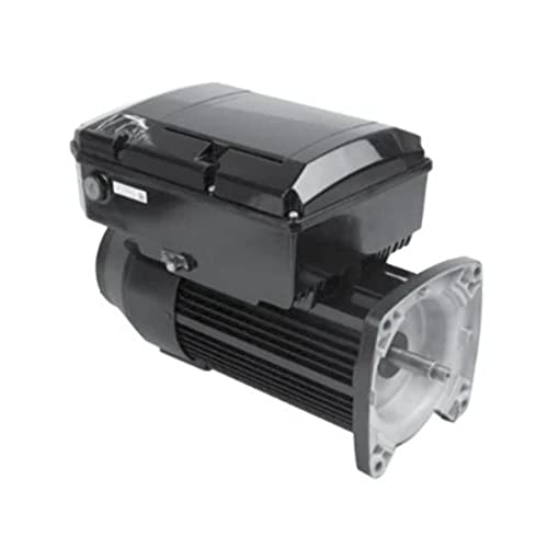 NPTQ165, Us Motors, 1.65 HP, 600-3450 RPM, 115/230 Volts,Pool Variable Speed