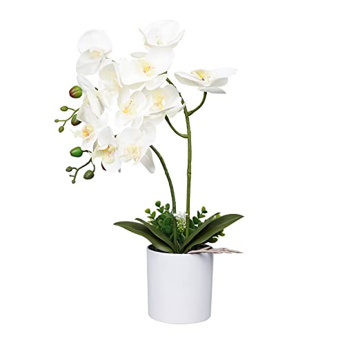 Ohmywor Artificial Orchid Flower Potted, 16.9" White Orchid in Pot Faux Plant with 2 Stems Artificial Phalaenopsis in Plastic Pot for Home Table Centerpiece Wedding Decoration