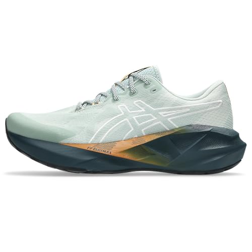 asics(アシックス) 公式ストア限定 トレイルランニングシューズ NOVABLAST 5 TR メンズ