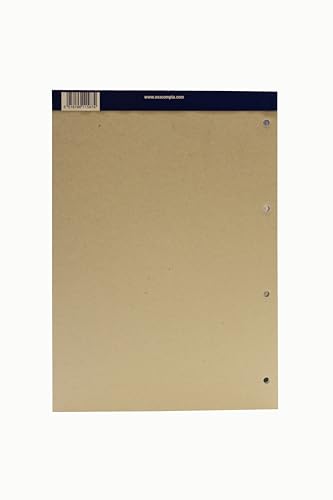 Guildhall Spaltenblock 2 Finanzspalten 41 Zeilen fein liniert 4-fach Lochung 60 Blatt A4