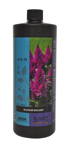 BCuzz Blossom Builder Quart / 946 ml (12/Cs)