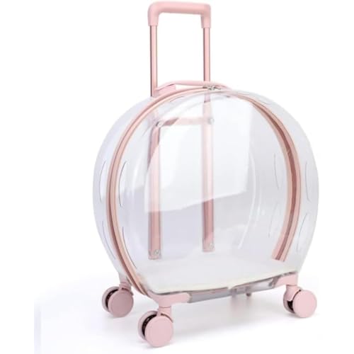 YubbuioLbgX[cP[XALX^[tAybgpxr[J[/obNpbNA莝Ag[A qЗp{bNXAOoA|[^uALƌɍœKAUAsAa@ւ̒ʉ@Aً}̏ɍœK