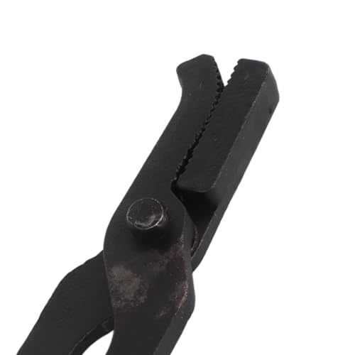 6 Piece Set Professional Horse Farrier Hoof Trim Tool Nail Horseshoe Plier Trimming Tool, Multifunctional Accessory For Home Use