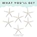 Starfish Decor - Star Fish for Craft - 6pk Real 3-4
