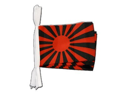 Guirlande drapeau rouge noir de 5,9 m avec fanions bicolores Digni