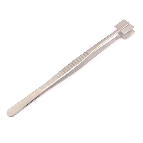 AAProTools Mashing Tweezers Glass Work Bead Masher Tweezer 8” Lampworking 3/4 Surface S.s. (E 1) A+ Quality