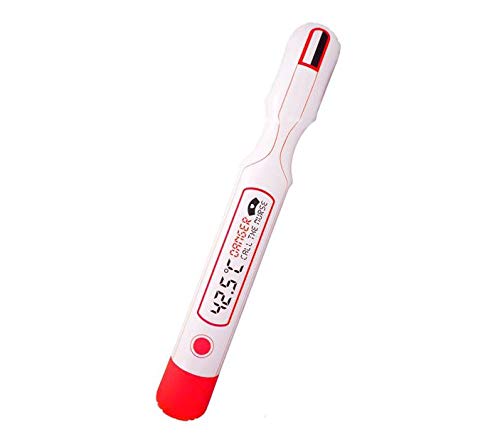 Thermomètre Gonflable 57cm