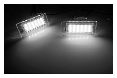 Luces de matrícula LED Canbus para BMW X3 E83 2003-2011 y X5 E53 color blanco 4