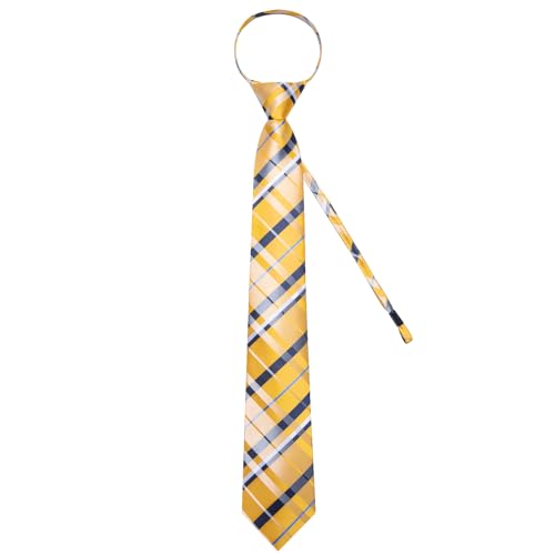 Image of DiBanGu Silk Zipper Ties for Men,Paisley Solid Plaid Pre-tied Tie and Pocket Square Cufflinks Set Formal Adjustable Necktie