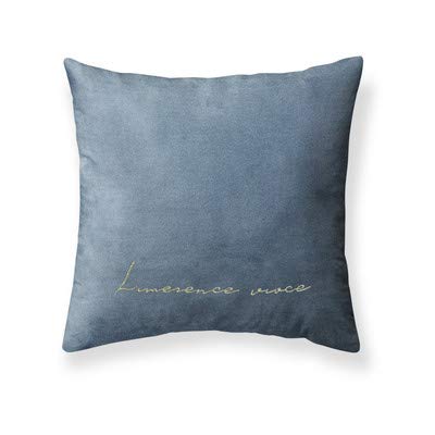 Coussin de canapé WLLLO oreiller ergonomique en velours pour soulager le dos au salon