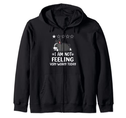 Boston Terrier Dog Sleep I Am Not Feeling Funny Puppy Dogs Sudadera con Capucha