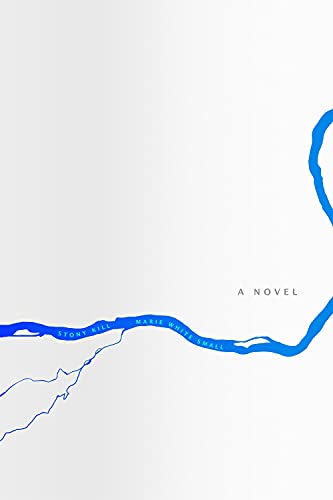 Buy Stony Kill: A Novel — BookShops.in
