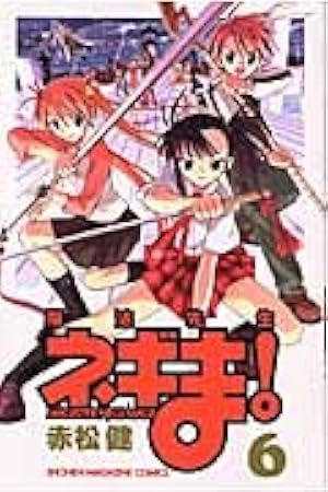 魔法先生ネギま！（34） (少年マガジンコミックス) | 赤松 健 |本