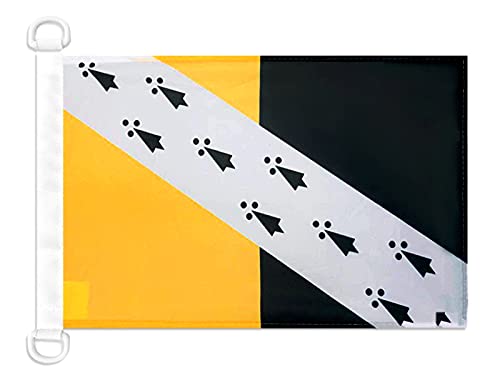 AZ FLAG Norfolk county New Nautical Flag 18'' x 12'', County of Norfolk, England flags 30 x 45 cm, Banner 12x18 in for boat โ image 1