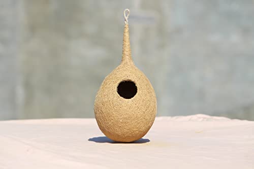 Organic-Large-Size-Bird-NEST-Set-of-Two-Purely-Made-by-Bird-Building-Technique-Bird-House-Hanging-Wall-Mounting-Tree-Mounting-Pack-of-1