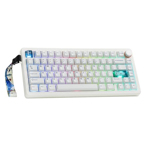 Image of MechLands CIDOO QK75 VIA Programmable 75% Compact Keyboard, USB-C /BT5.0 /2.4Ghz Wireless, Hot Swappable Custom Mechanical Keyboard with Gasket Mounted, PC Plate, 4000mAh Battery for Win /Mac (White)