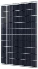 Q CELLS 245W Poly SLV/WHT Solar Panel - Pack of 4