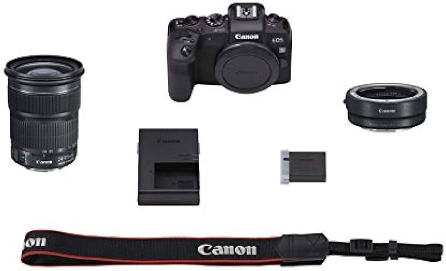 Amazon.com : CANON DIGITAL CAMERA EOS RP BODY + CANON MOUNT