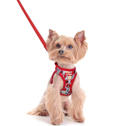 Image of rabbitgoo Dog Harness Small Sized and Leash Set, Step-in Puppy Pet Vest