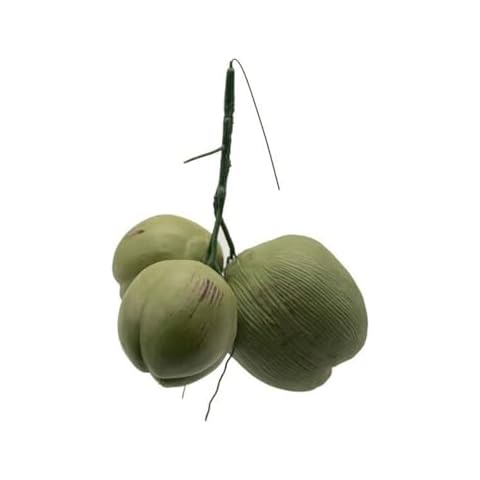 Noix de coco artificielle Morain Cover