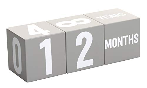 Image of Kate & Milo Baby Milestone Photo Props, Monthly Growth Markers, Baby Age Milestone Keepsakes, Gray Wooden Monthly Blocks, Baby Photo Prop