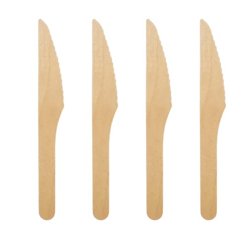 Compostable Birch Wood Cutlery - 500 Pack