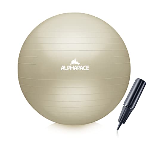 ALPHAPACE Ballon de gymnastique épais anti-éclatement avec pompe à air, ballon de fitness, yoga, gymnastique, entraînement de base, pour le dos, la chaise de bureau, en coton Bloom, 65 cm Cover