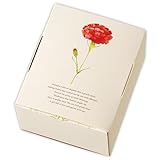 ヘッズ ギフトボックス 8×5.5×9.5cm XS 20枚 カーネーション 母の日 HEADS MA-GXS