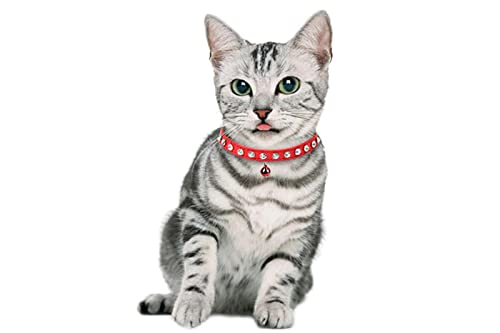 Collare regolabile per cani gatti piccola taglia con campanellino brillantini