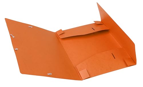 Exacompta 14017H 10er Pack Premium Sammelbox mit Gummizug 40 mm breit aus extra starkem Colorspan-Karton mit Rückenschild für DIN A4 Archivbox Heftbox Dokumentenbox Zeichenbox Sammelmappe orange