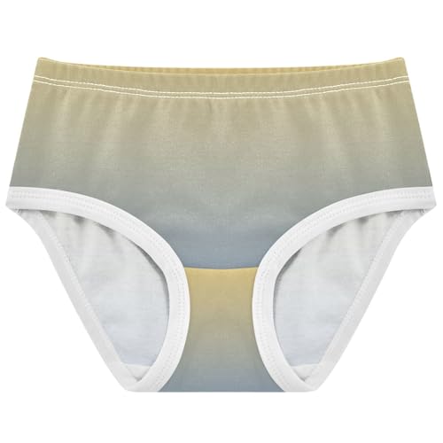 Joisal Yellow Pale Denim Blue Gradient Toddlers Underwear Floral 2t Cotton Panties for Girl Cartoon Undies Kids Briefs