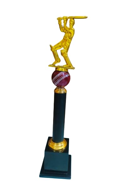 Metallic Fiber Cricket Winning Trophy/Award for Winners (16 Inches) (B0B4DT16NH) Amazon Price History, Amazon Price Tracker