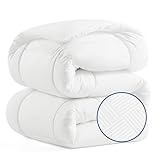 Bedsure Comforter Duvet Insert - Quilted Comforters Queen Size, All Season Duvet, Down Alternative Bedding Comforter with Tabs(Ivory Stripe Square,Queen 88'x88')