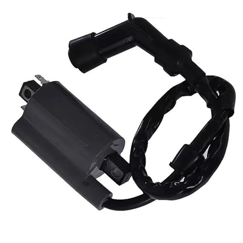 Bobina de encendido para Raptor 700: soluciona los fallos de arranque y tirones de tu ATV 5