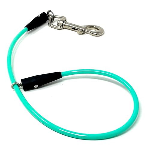 XM | Wag More Grooming Loop for Dogs Grooming Table Safety Restraint Waterproof Leash Noose Slip Lead Fits Most Grooming Tubs/Tables Easy to Clean Durable Made in the USA 18 Teal