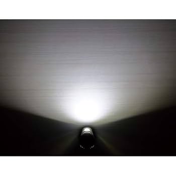 ルッツページ (一通目) 六分の一男子図鑑 B2302 ナイン - PetWORKs Store