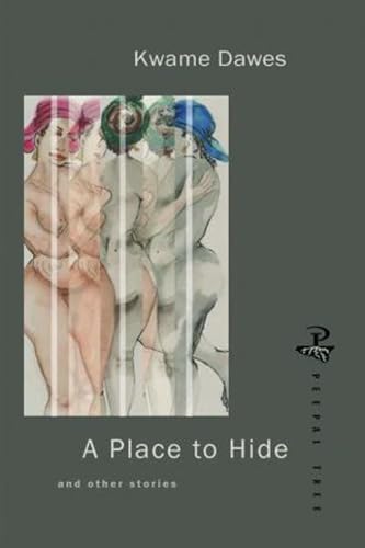 A Place to Hide (English Edition)