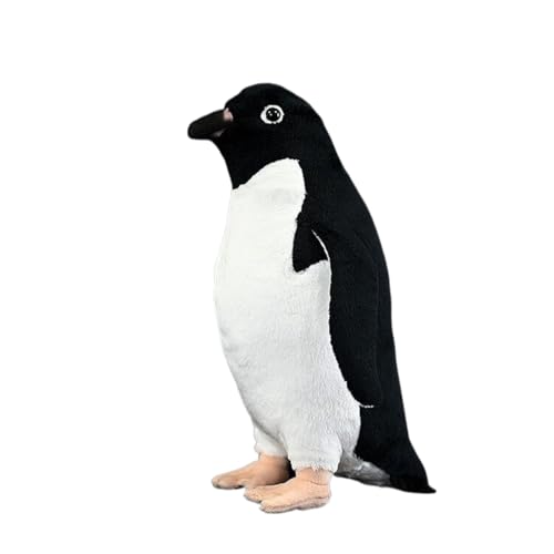 ʂ Af[yM    NbV ˂ނ˂ Gǂ n ubN YQ Q C Q  NX}X 30cm v[g 蕨