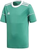 Paspelierung an den Ärmeln adidas Jungen Squad 17 JSY Y T-Shirt, Verfue/Blanco, 152 (11/12 años)