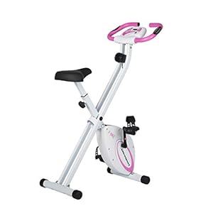 feierdun exercise bike
